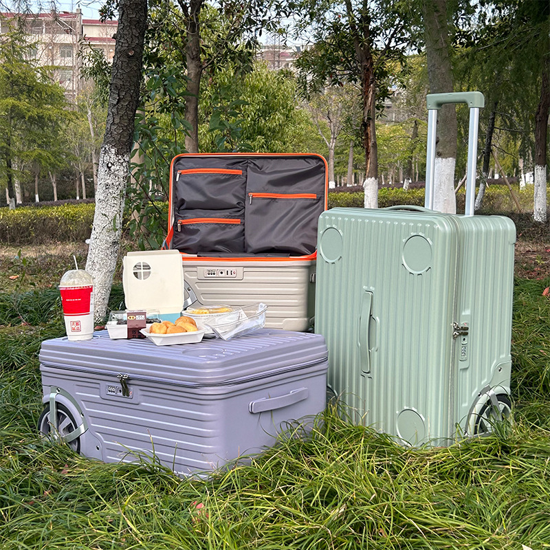 20/24 inch Outdoor Luggage Cam - đánh giá và giá Spinner Wheel Rolling Suitcase 20 Inch