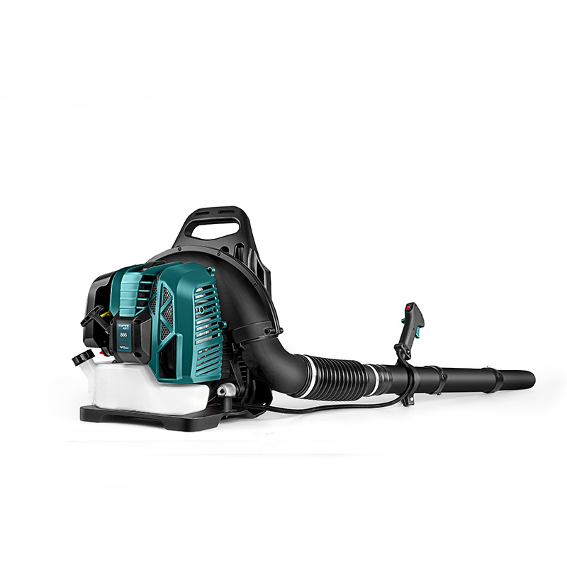 Two-stroke backpack hair dryer - đánh giá và giá Backpacks